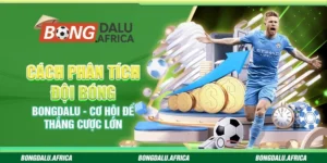 Cách Phân Tích Đội Bóng Bongdalu – Cơ Hội Để Thắng Cược Lớn