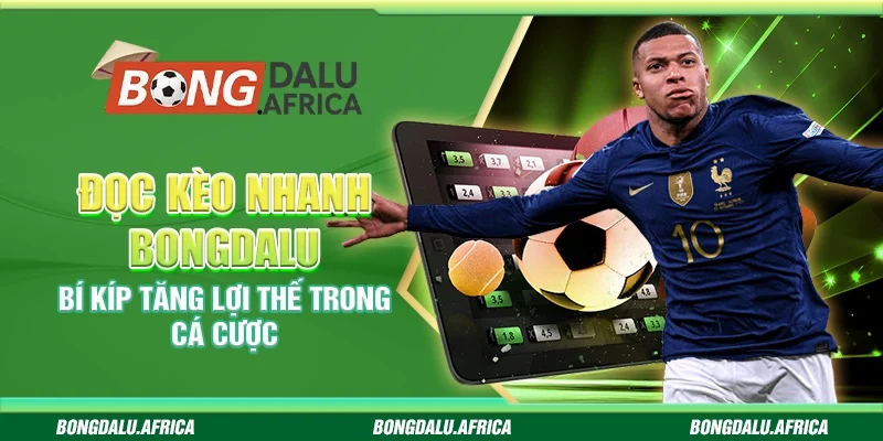Đọc Kèo Nhanh Bongdalu – Bí Kíp Tăng Lợi Thế Trong Cá Cược
