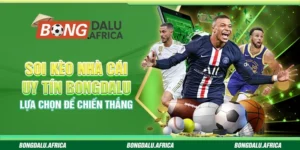 Soi Kèo Nhà Cái Uy Tín Bongdalu – Lựa Chọn Để Chiến Thắng