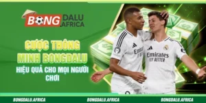 Cược Thông Minh Bongdalu – Hiệu Quả Cho Mọi Người Chơi