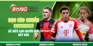Đọc Kèo Chuẩn Bongdalu - Dễ Hiểu Cho Người Mới Bắt Đầu