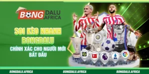 Soi Kèo Nhanh Bongdalu – Chính Xác Cho Người Mới Bắt Đầu