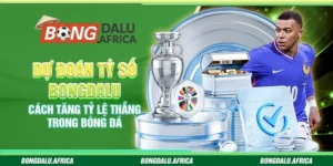 Dự Đoán Tỷ Số Bongdalu – Cách Tăng Tỷ Lệ Thắng Trong Bóng Đá