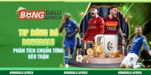 Tip Bóng Đá Bongdalu - Phân Tích Chuẩn Từng Kèo Trận
