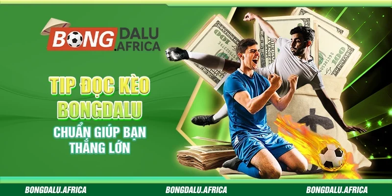 Tip Đọc Kèo Bongdalu – Chuẩn Giúp Bạn Thắng Lớn
