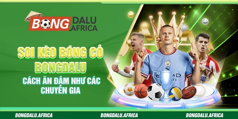 Soi Kèo Bóng Cỏ Bongdalu – Cách Ăn Đậm Như Các Chuyên Gia