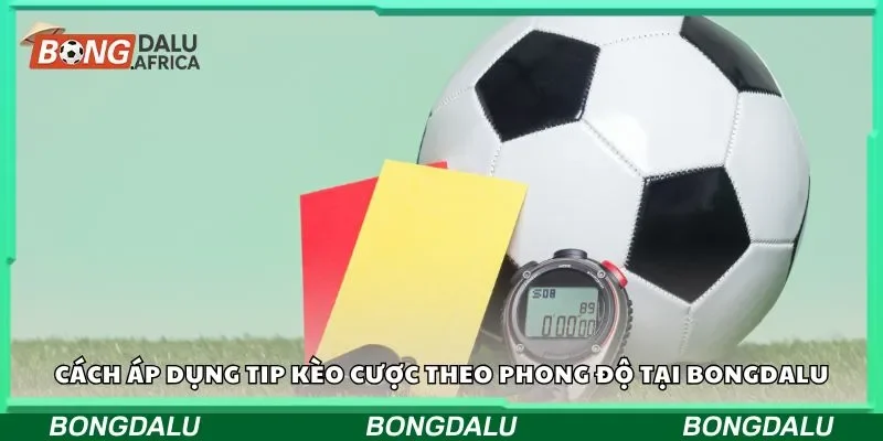 Cách áp dụng tip kèo cược theo phong độ Tại Bongdalu