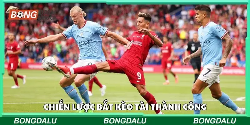 Một số chiến lược bắt kèo cược tài hiệu quả