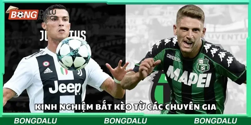 Những kinh nghiệm bắt rung hiệu quả