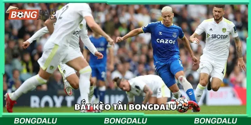 Tìm hiểu về bắt kèo tài