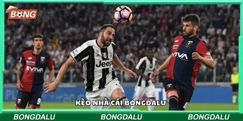 Tìm hiểu về kèo nhà cái