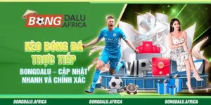 Kèo Bóng Đá Trực Tiếp Bongdalu – Cập Nhật Nhanh Và Chính Xác 
