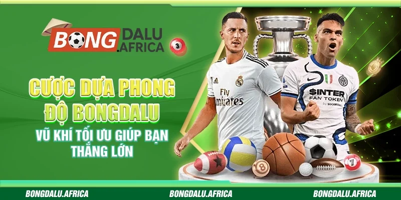 Cược dựa phong độ bongdalu – Vũ khí giúp bạn thắng lớn