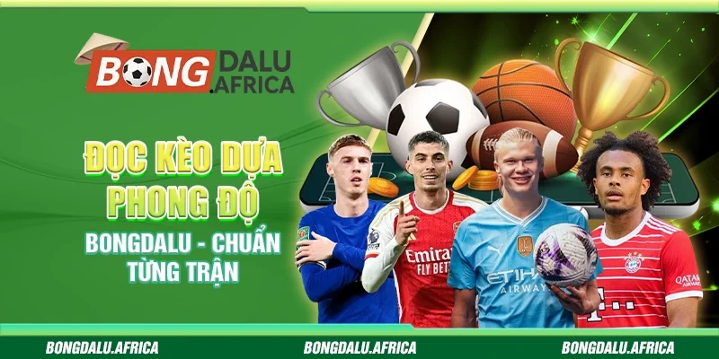 Đọc Kèo Dựa Phong Độ Bongdalu – Chuẩn Từng Trận