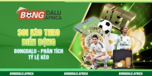 Soi Kèo Theo Biến Động Bongdalu – Phân Tích Tỷ Lệ Kèo 