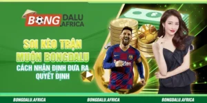 Soi Kèo Trận Muộn Bongdalu– Cách Nhận Định Đưa Ra Quyết Định