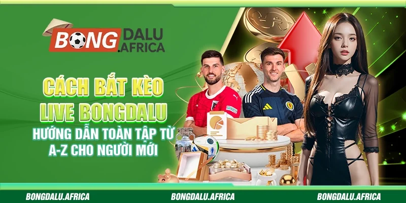 Cách bắt kèo live Bongdalu – Hướng dẫn toàn tập từ A-Z cho người mới