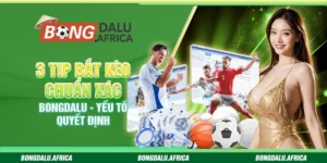 3 Tip Bắt Kèo Chuẩn Xác Bongdalu – Yếu Tố Quyết Định