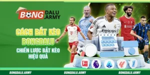 Cách Bắt Kèo Bongdalu – Chiến Lược Bắt Kèo Hiệu Quả 