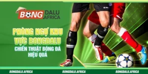 Phòng Ngự Khu Vực – Chiến Thuật Bóng Đá Hiệu Quả 