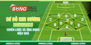 Sơ Đồ Kim Cương – Chiến Lược Và Ứng Dụng Hiệu Quả