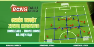 Chiến Thuật Zonal Marking Bongdalu – Trong Bóng Đá Hiện Đại