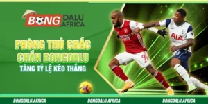Phòng Thủ Chắc Chắn Bongdalu - Tăng Tỷ Lệ Kèo Thắng