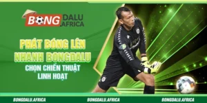 Phát Bóng Lên Nhanh Bongdalu – Chọn Chiến Thuật Linh Hoạt 