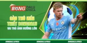 Cầu Thủ Kiến Thiết Bongdalu - Vai Trò Ảnh Hưởng Lớn