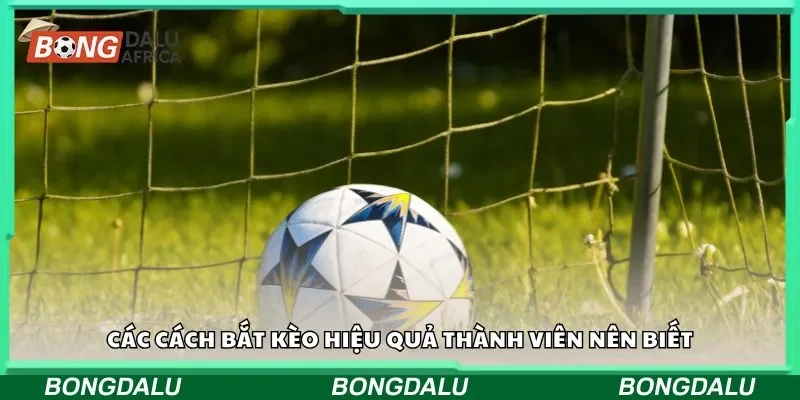 Các cách bắt kèo hiệu quả thành viên nên biết