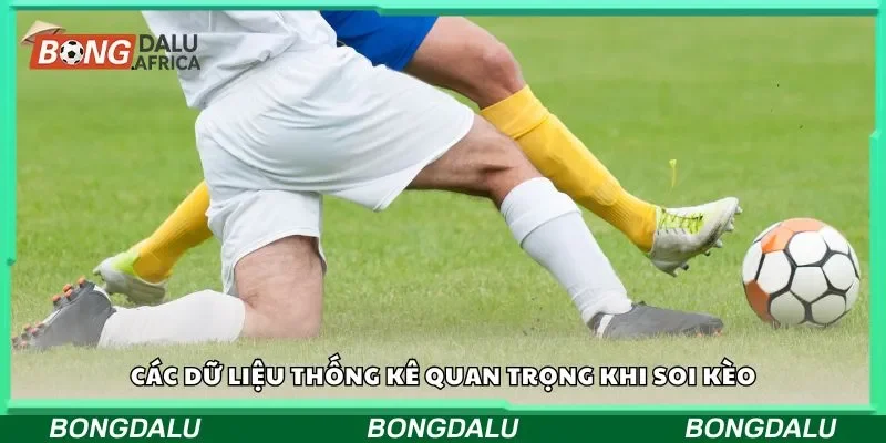 Các dữ liệu thống kê quan trọng khi soi kèo
