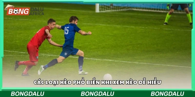 Đôi nét giới thiệu về xem kèo dễ hiểu