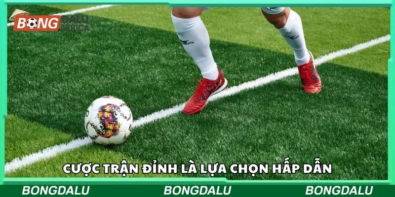 Cược trận đỉnh là lựa chọn hấp dẫn