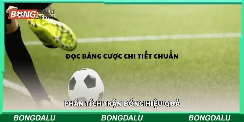 Đọc bảng cược chi tiết chuẩn