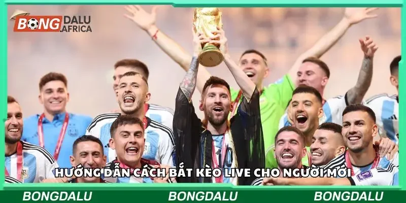 Hướng dẫn cách bắt kèo live cho newbie 