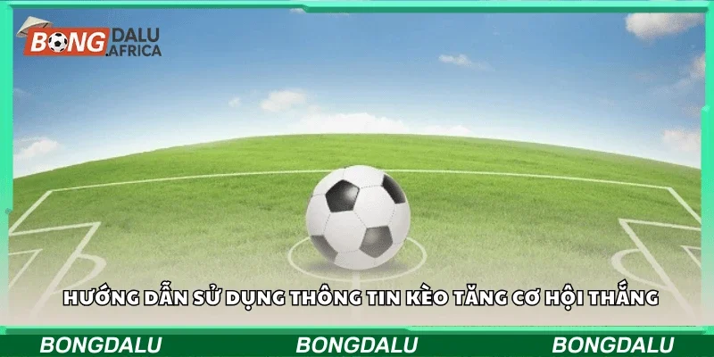 Hướng dẫn sử dụng thông tin kèo tăng cơ hội thắng