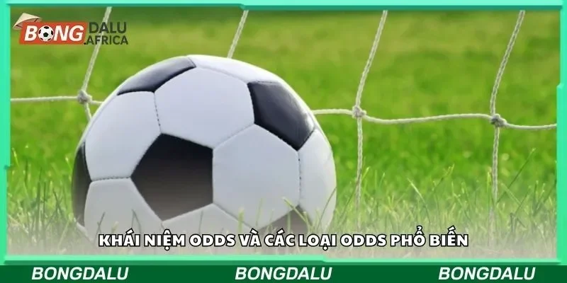 Khái Niệm Odds Và Các Loại Odds Phổ Biến