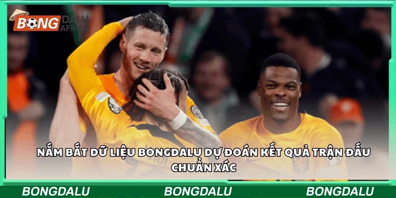 Nắm bắt dữ liệu Bongdalu dự đoán kết quả trận đấu chuẩn xác