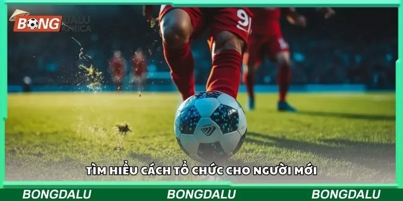 Tìm hiểu cách tổ chức cho người mới