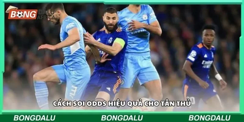 Cách soi odds hiệu quả cho tân thủ