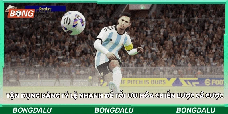 Tận dụng bảng tỷ lệ nhanh để tối ưu hóa chiến lược cá cược