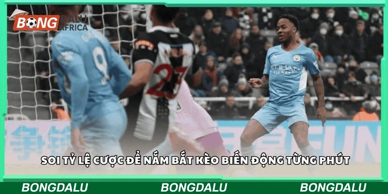 Soi tỷ lệ cược để nắm bắt kèo biến động từng phút