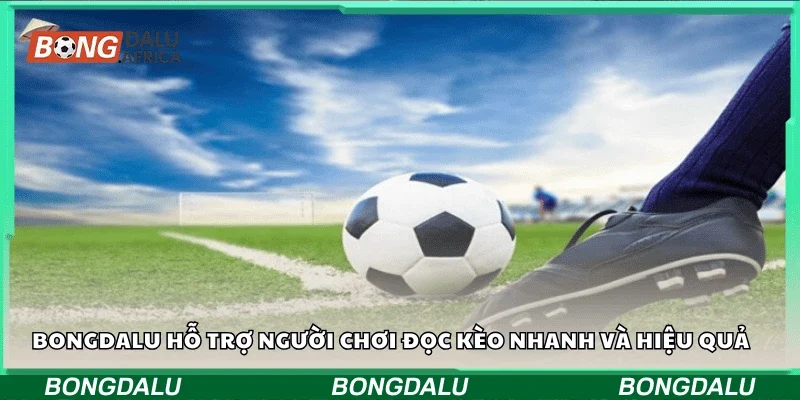 Bongdalu hỗ trợ người chơi đọc kèo nhanh và hiệu quả