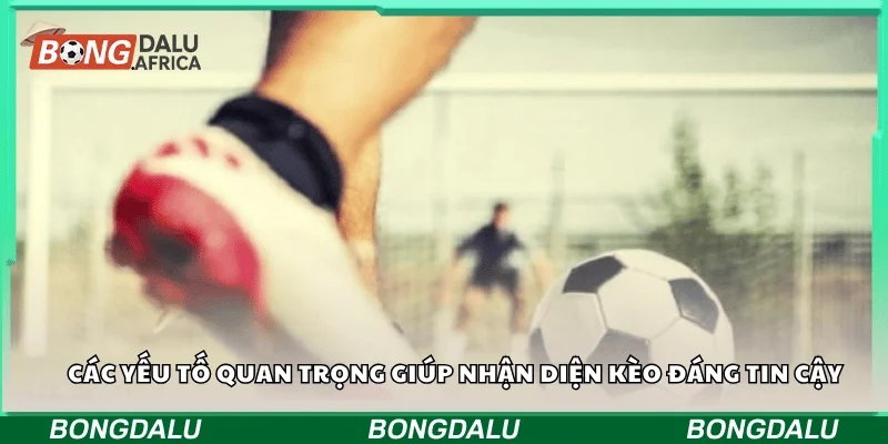 Các yếu tố quan trọng giúp nhận diện kèo đáng tin cậy