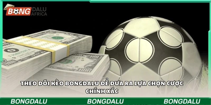 Theo dõi kèo Bongdalu để đưa ra lựa chọn cược chính xác