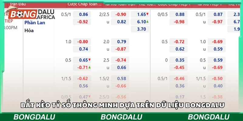 Bắt kèo tỷ số thông minh dựa trên dữ liệu Bongdalu