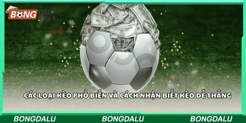 Các loại kèo phổ biến và cách nhận biết kèo dễ thắng