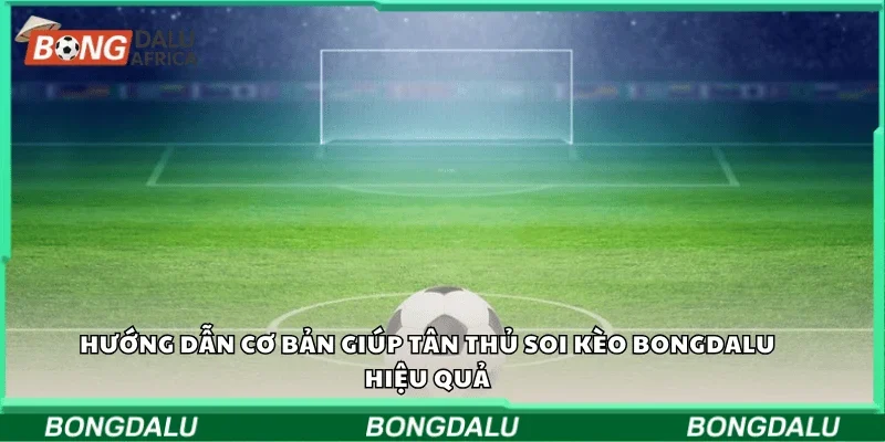 Hướng dẫn cơ bản giúp tân thủ soi kèo Bongdalu hiệu quả