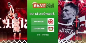 Tỷ Lệ Kèo Frankfurt vs Leverkusen – Bundesliga, 31/01/2026