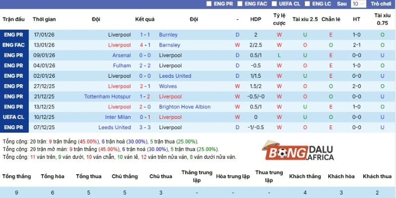Thành tích thi đấu trong nước lẫn quốc tế của đội
